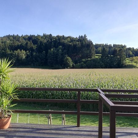 Ferienhaus Am Bach Kirchberg an der Raab Exterior foto
