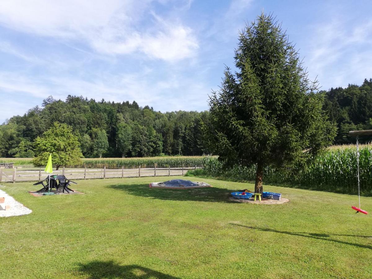 Ferienhaus Am Bach Kirchberg an der Raab Exterior foto